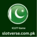 K1177 Game