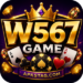 W567 Game