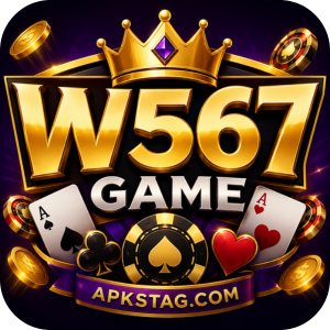 W567 Game