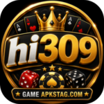 HI309 Game
