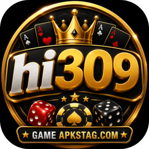 HI309 Game