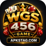 WGS456 Game