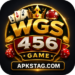 WGS456 Game